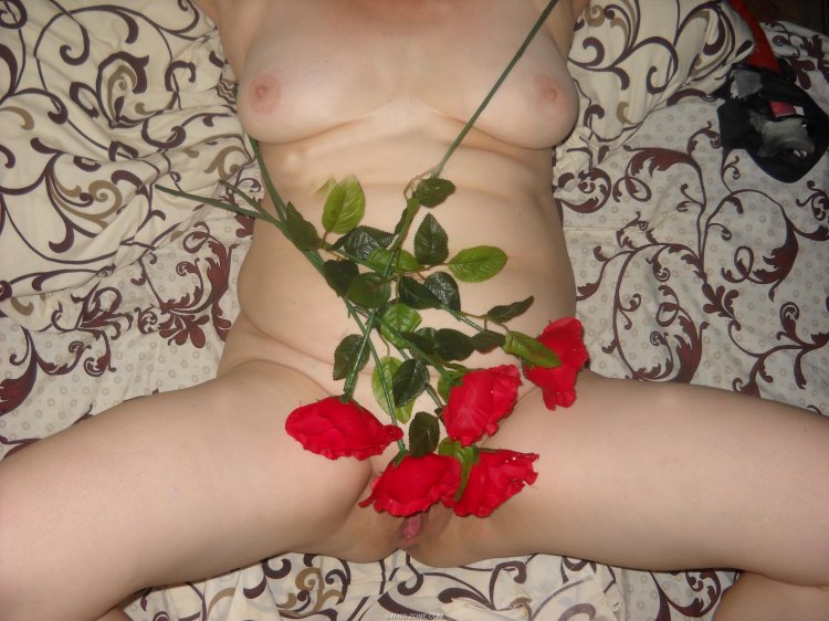 Роза среди роз